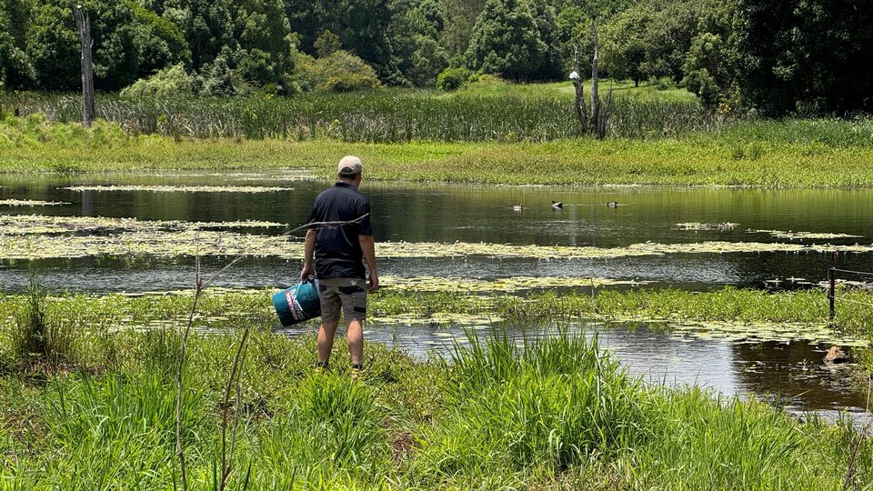 No More Toads technician assessing a water feature