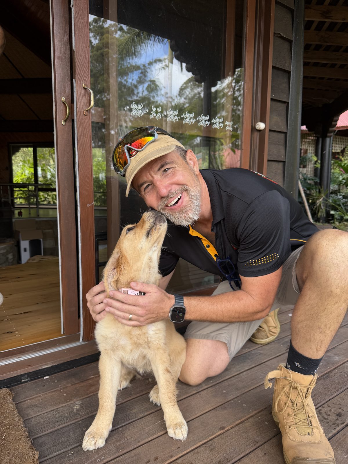 A happy golden labrador being cuddled by their owner on the back deck