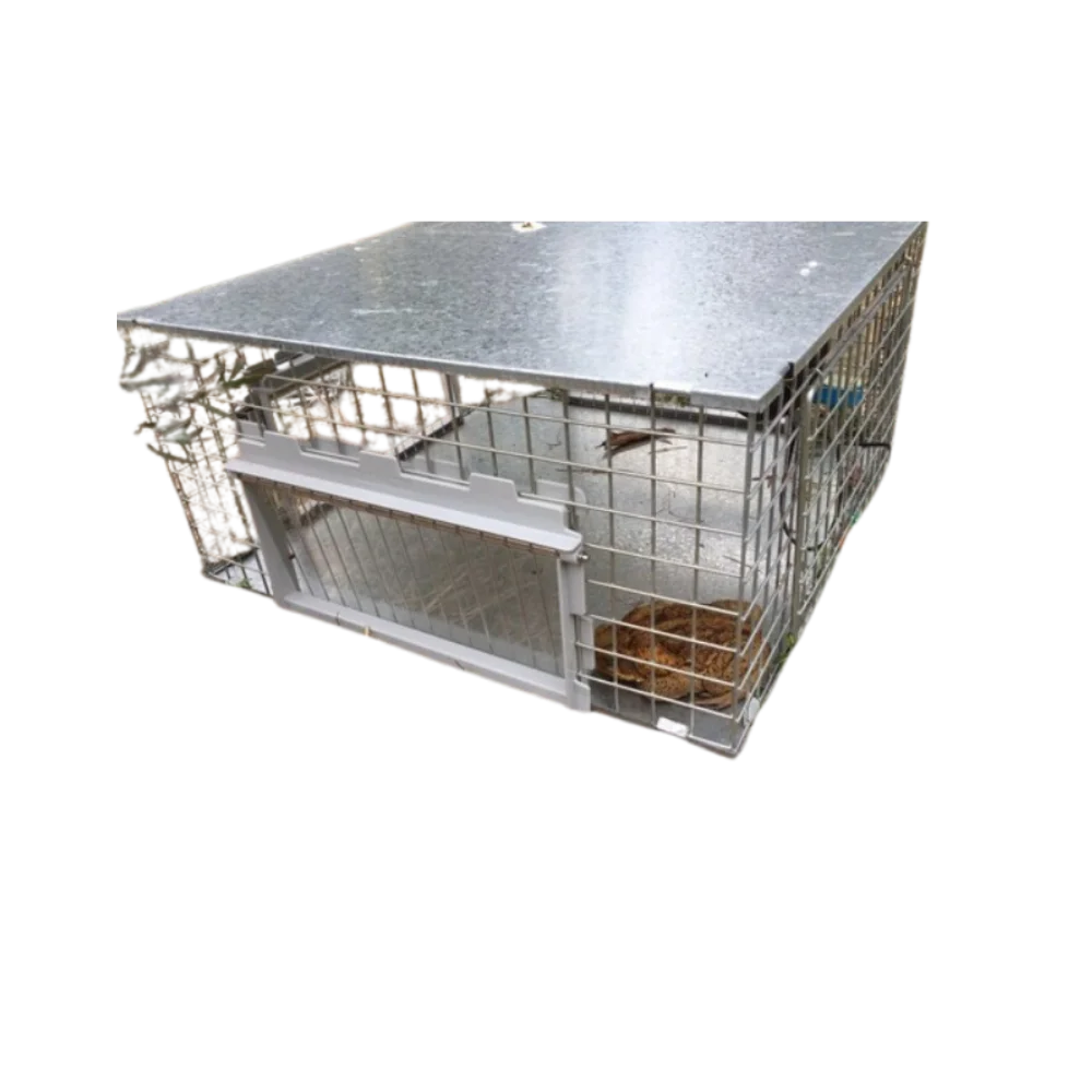 Toadinator Cane Toad Trap Cage